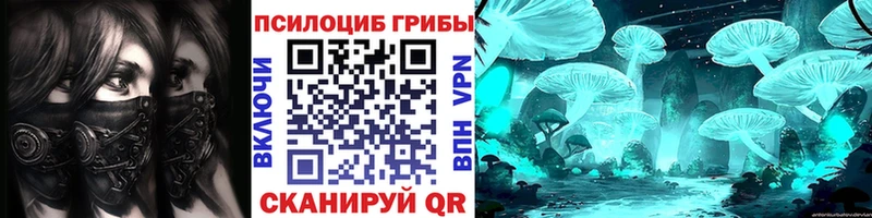MEGA ONION  купить  сайты  Касли  Галлюциногенные грибы Psilocybe 